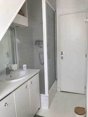 Shower, hair dryer, soap, toilet paper - Le Charme de L'ancien ! A 5 Minutes des Thermes et du Téléporté (Bagnères-de-Luchon)