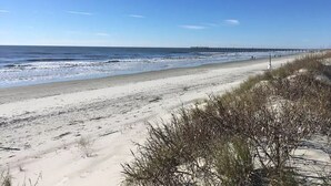 Ein Strand mit einem Pier in der Ferne, sandigem Ufer und spärlicher Vegetation.