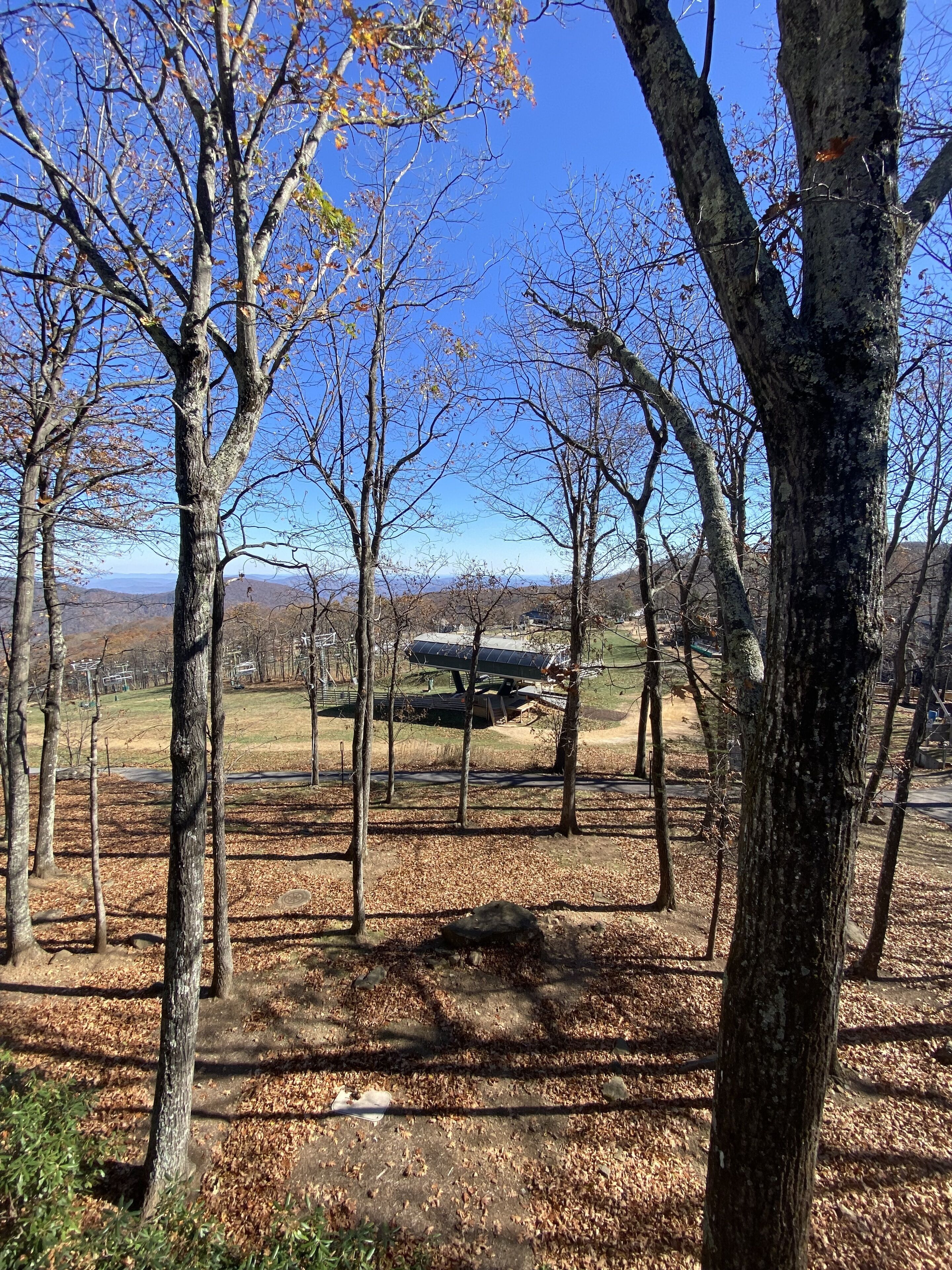 Cozy Slope Side Condo at Dobie!