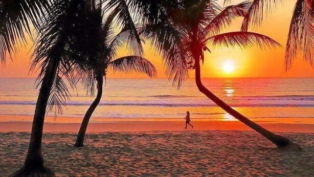 Escena de playa con palmeras y un atardecer sobre el océano.