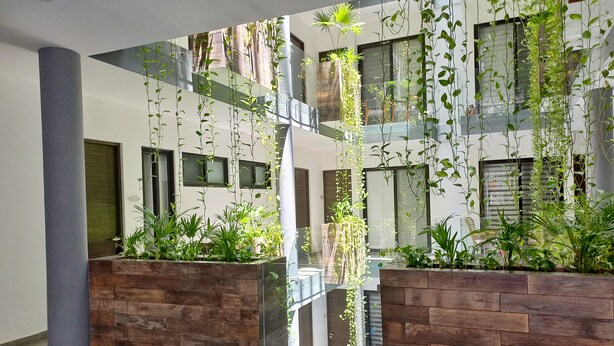 Un espace intérieur moderne doté d’un escalier central, de jardinières en bois ornées de plantes et d’une rambarde en verre.