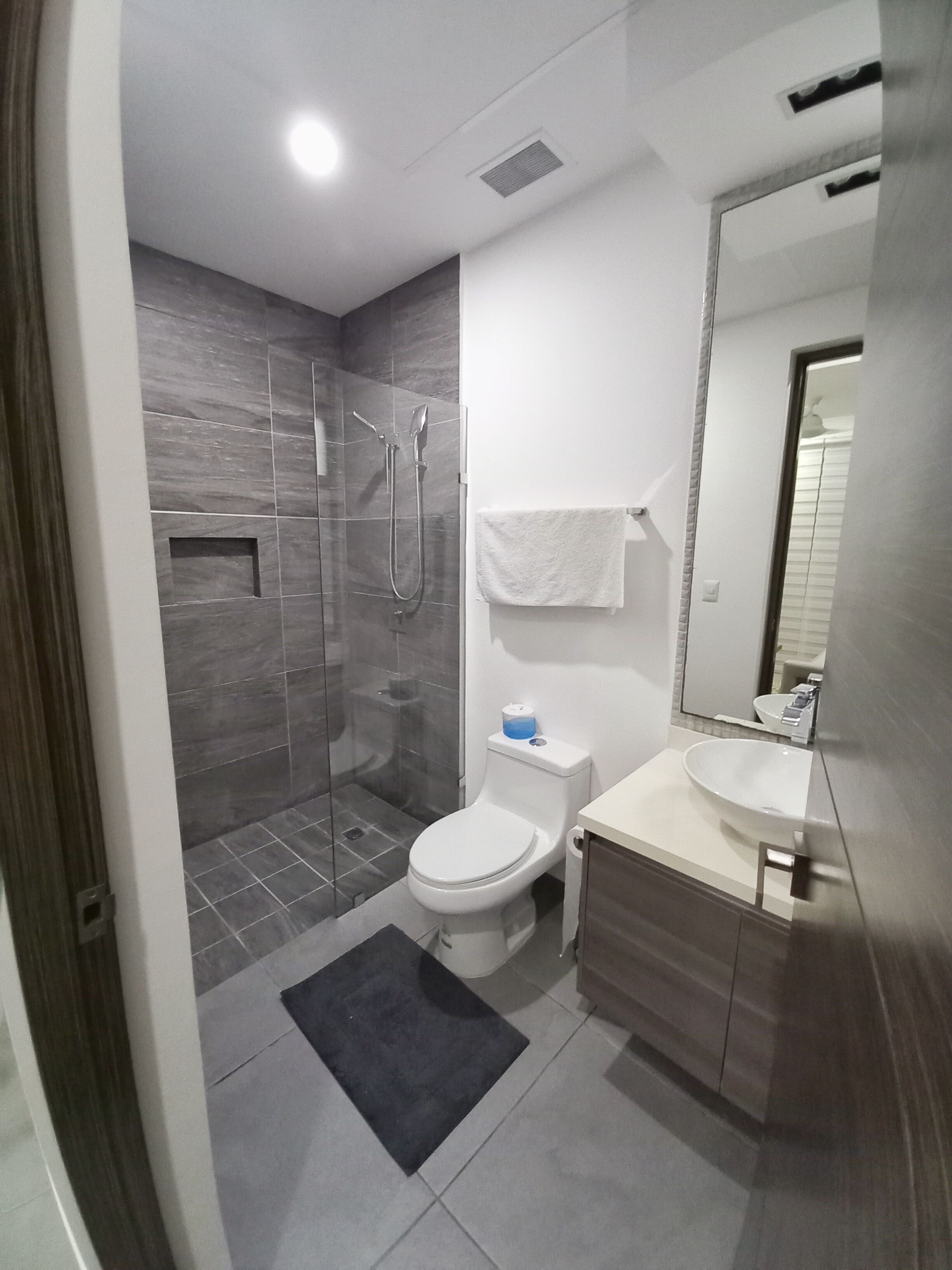 A modern bathroom with a glass-enclosed shower, a toilet, and a sink with a mirror.