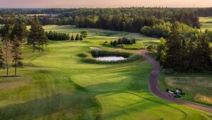 Um campo de golfe com lago, árvores e um caminho sinuoso.