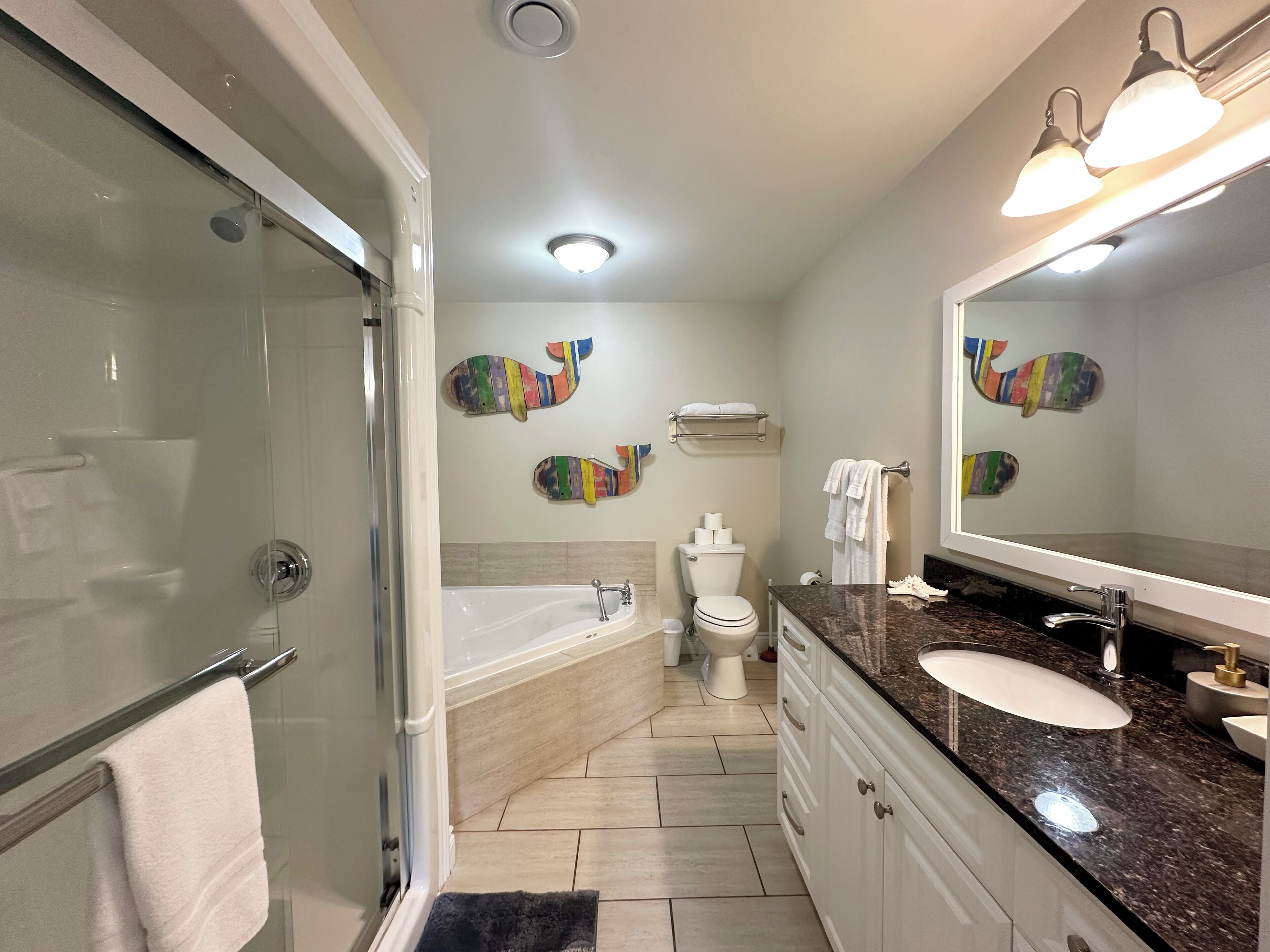 Shower, hair dryer, towels, toilet paper
