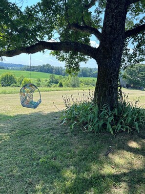 Un grande albero con un'altalena appesa ai rami, un prato erboso e una vista lontana delle colline.