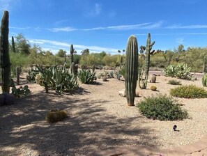 Property grounds - Adorable Casita Pool, Spa, Desert Mountain Views
(Fountain Hills)