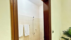A bathroom with a toilet, a shower, and a potted plant. - Cozy Room In Cotonou City
 (Cotonou)