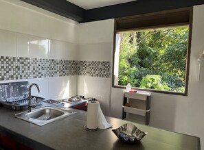 Private kitchen - Charming Mountain Breeze Studio (PORTSMOUTH)