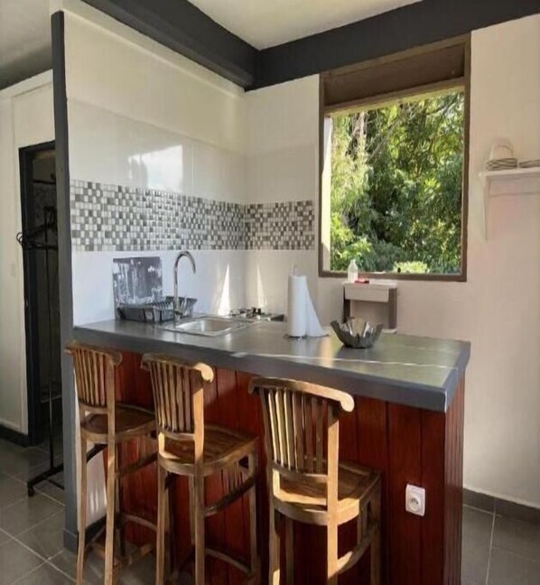 Private kitchen - Charming Mountain Breeze Studio (PORTSMOUTH)