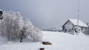 A snow-covered landscape with a wooden building and a tree.