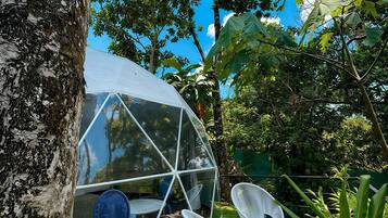 Estructura abovedada transparente con una mesa y sillas en su interior, rodeada de árboles y vegetación.