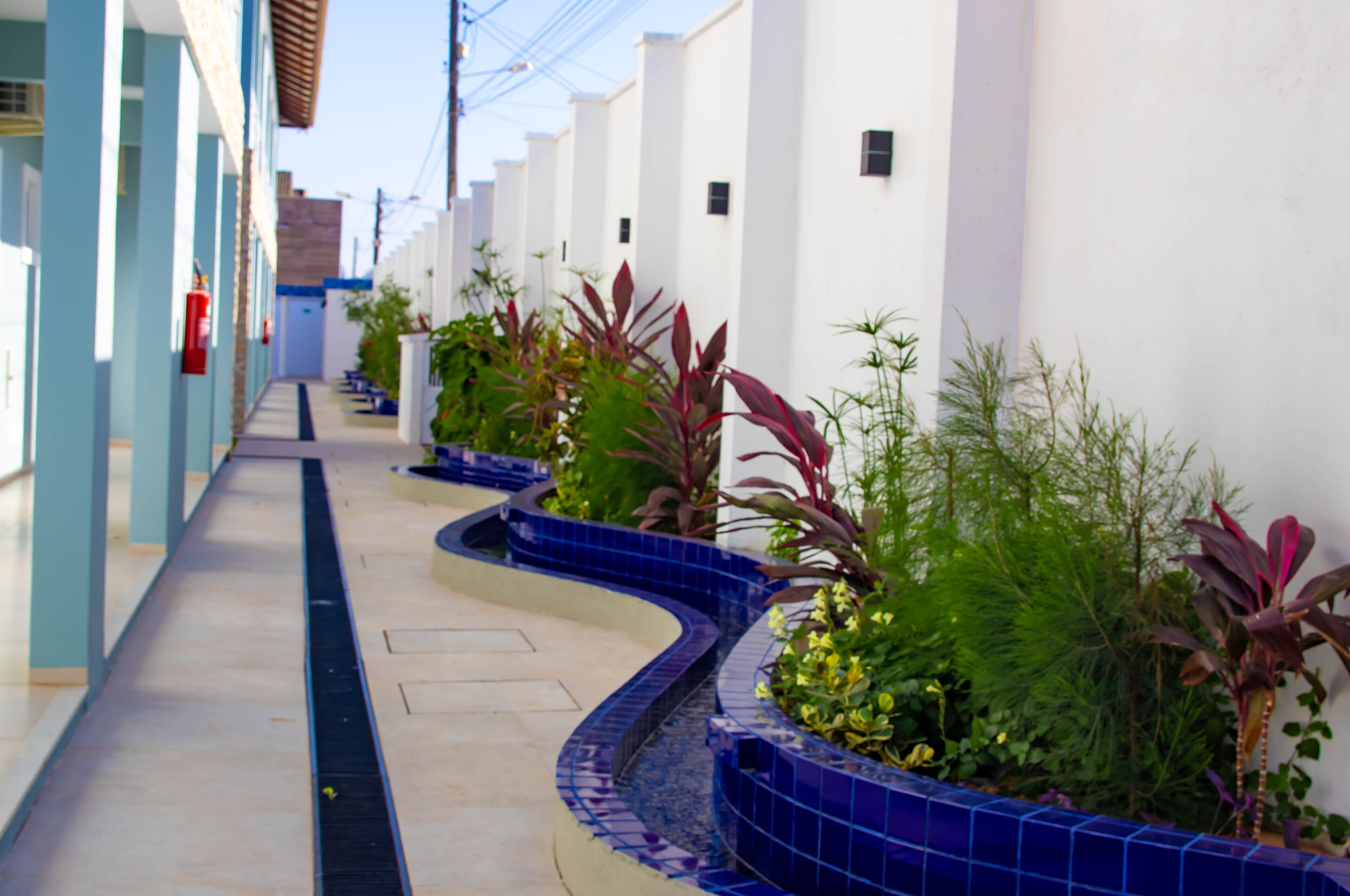 Un étroit sentier dallé, bordé de bâtiments blancs aux ornements bleus et agrémenté de plantes en pot.