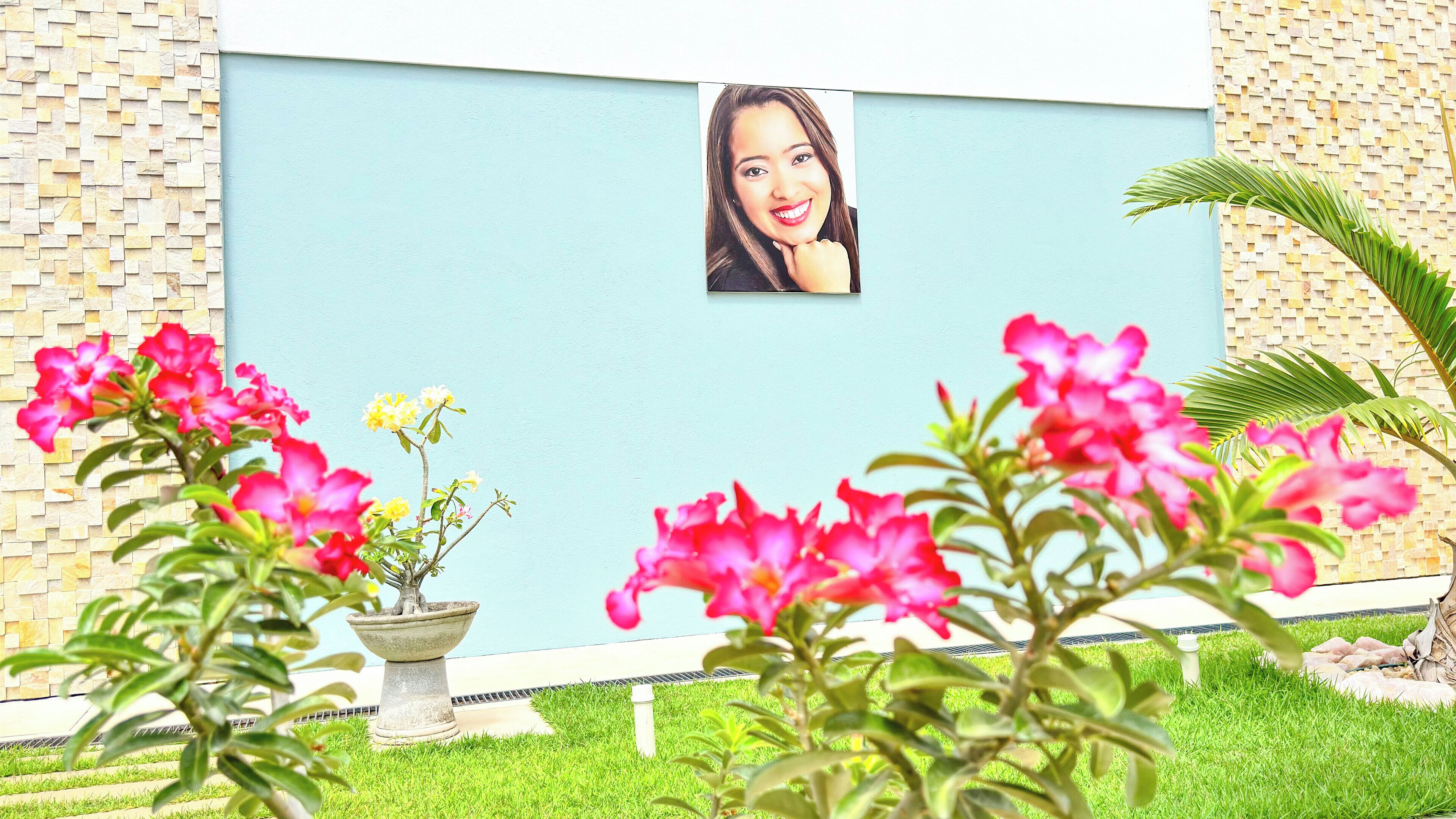 A garden with pink flowers, a stone wall, and a photo frame on the wall.