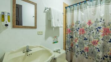 Shower, towels, soap, toilet paper