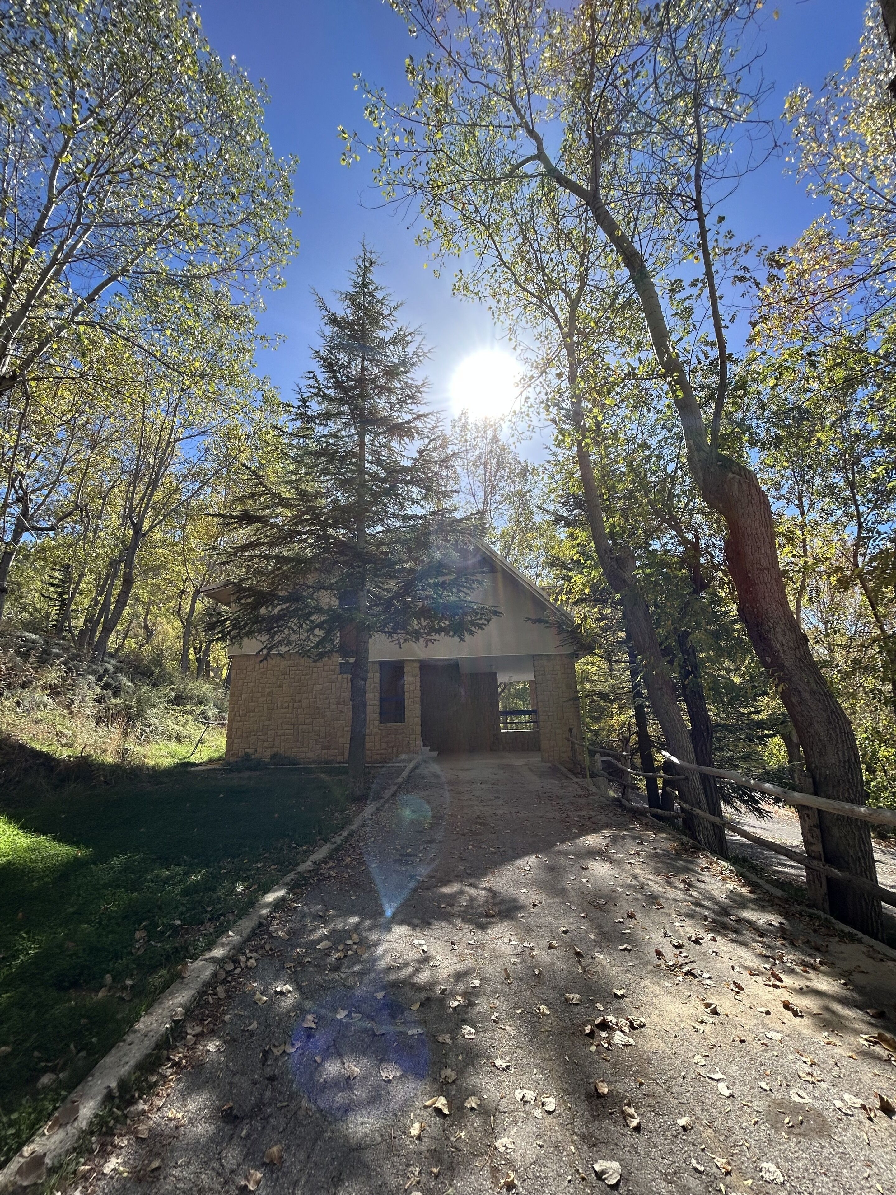 A rustic cabin with a dirt path leading to it, surrounded by trees and a clear sky.