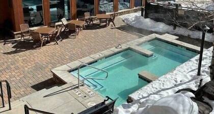 Mountain Escape! Renovated Condo