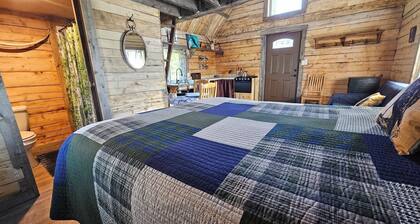 National Park Stay: Comfortable cabin in Alaska's wilds, lakes, hikes. Pets OK!