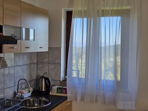 Fridge, microwave, stovetop, coffee/tea maker