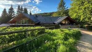 Ein modernes Haus mit geneigtem Dach, großen Fenstern und einer Holzterrasse.