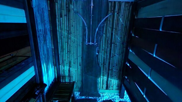A narrow corridor with a bamboo wall, a bench, and a stone pathway. - Buddy Ebson w/EV charger II (North Fort Myers)