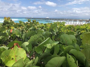 Miscellaneous - Uniquely decorated quiet condo 8 minutes from beach. 3 month rental. (North Palm Beach)