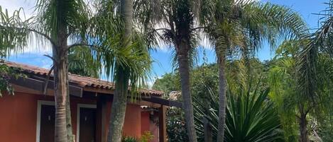 A pathway leading to a building surrounded by palm trees and a garden with large rocks.
