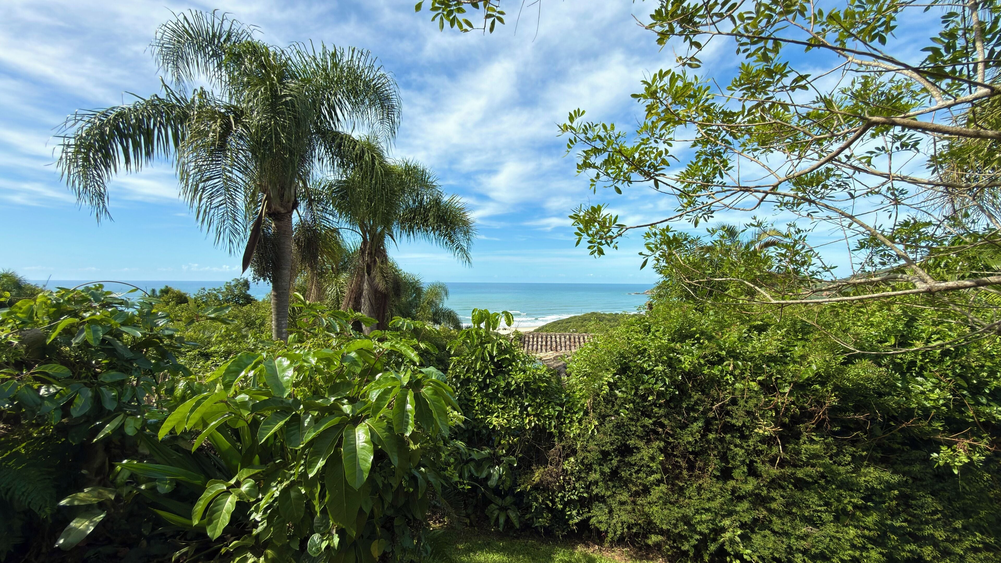 Un exuberante jardín tropical con follaje denso y vista al océano.