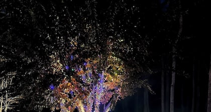 32-Acre Retreat , Pool, Hot Tub, Theatre, Fire Pit, Games, sleeps 10