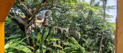 Overnatningsstedets område