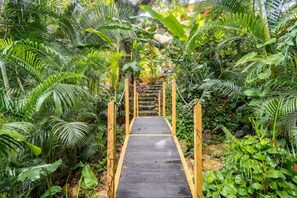 A wooden staircase surrounded by lush tropical foliage.