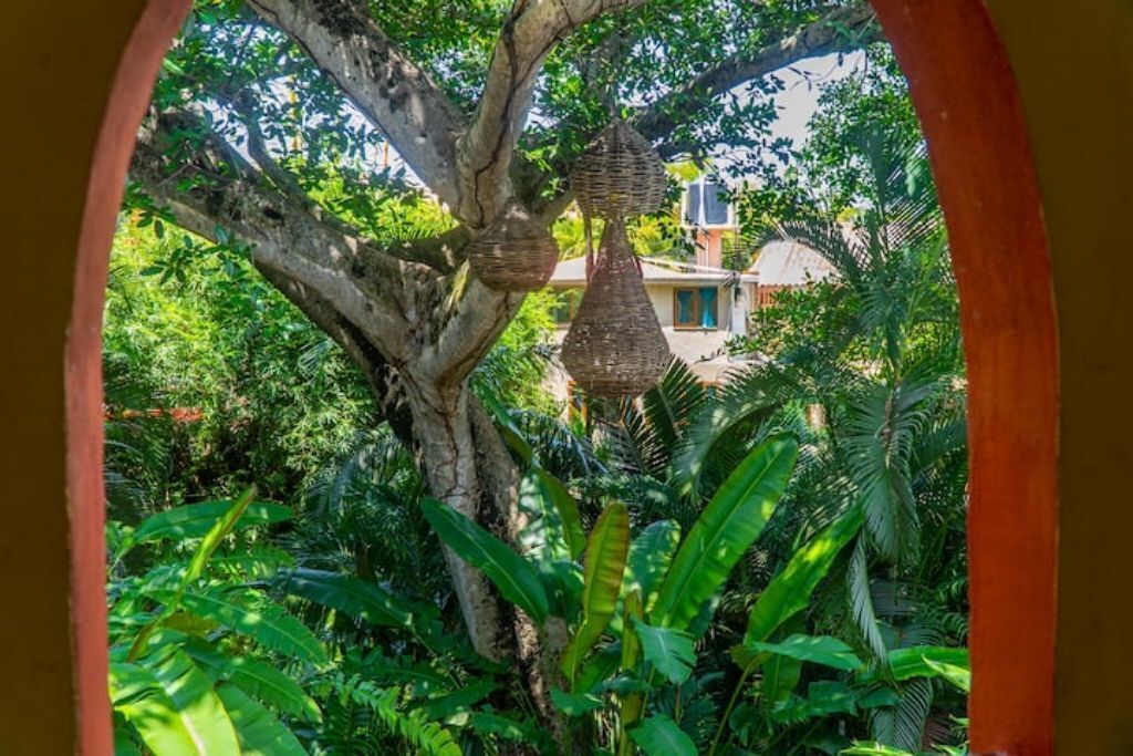 Un jardín exuberante con un árbol grande y macetas colgantes.