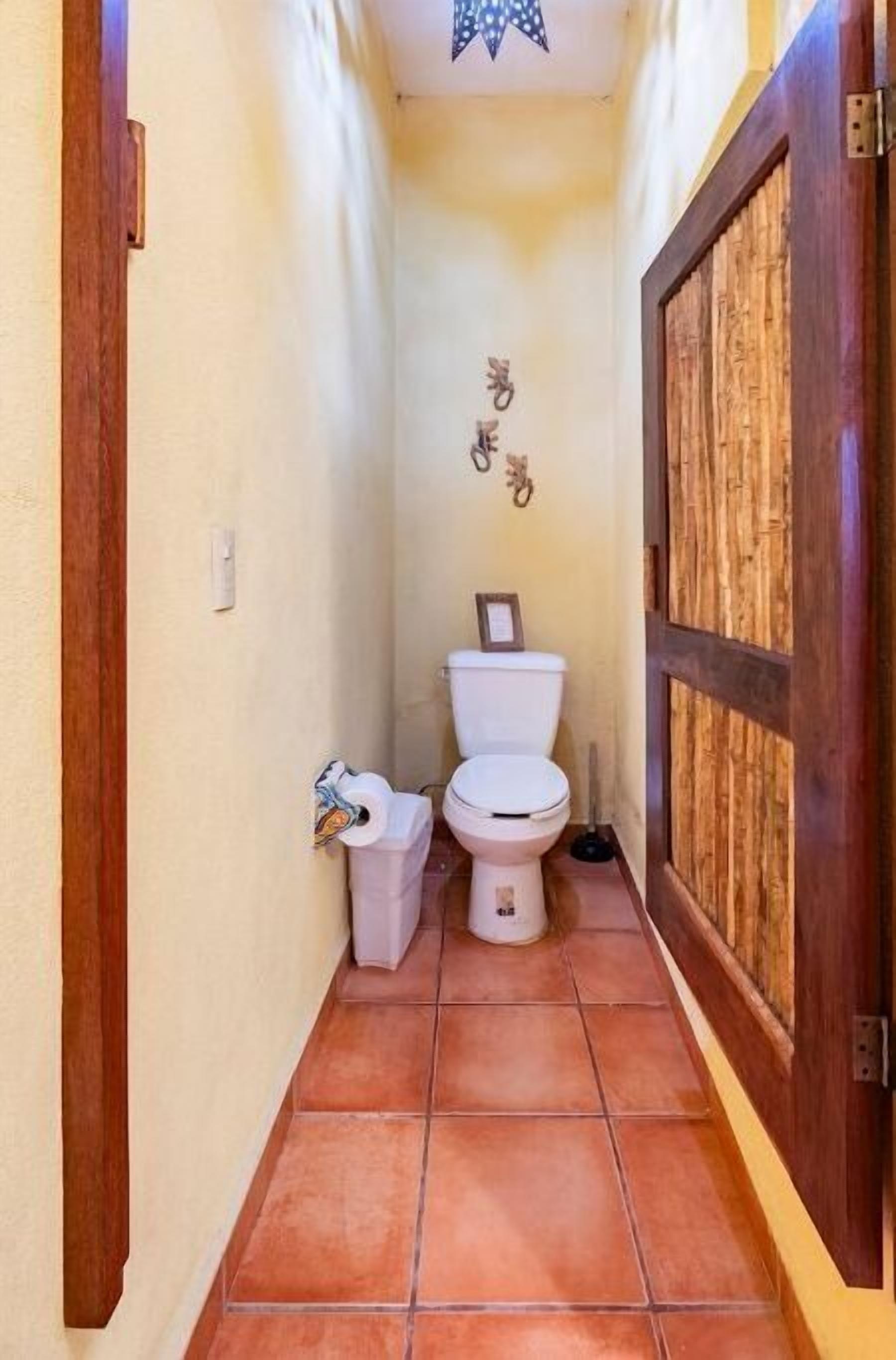 A narrow hallway with a toilet and a wooden door.