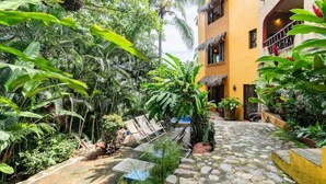 A courtyard with a stone pathway, lounge chairs, and lush tropical vegetation. - Xocotla - Ocean View Pent House

 (Sayulita)