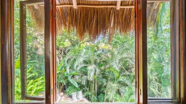A window with a thatched roof, framed by wooden beams, overlooking a lush tropical garden with various green plants and trees. - Xocotla - Ocean View Pent House

 (Sayulita)
