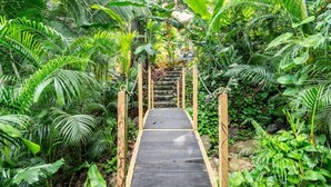 A wooden bridge surrounded by lush green foliage. - Xocotla - Ocean View Pent House

 (Sayulita)