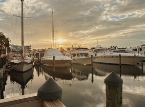 Marina - The Lazy Barracuda (Cape Coral)