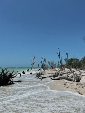 Beach - The Lazy Barracuda (Cape Coral)