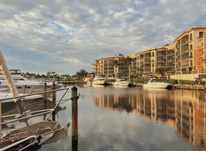 Marina - The Lazy Barracuda (Cape Coral)