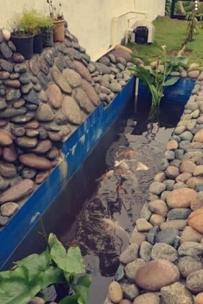 Property grounds - Pearly gates home stay - Room 6 (Kodaikanal)