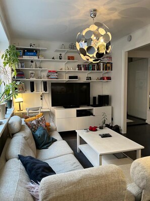 Smart TV, videogames, livros, biblioteca musical