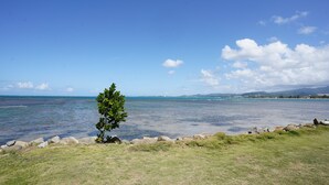 A coastal landscape with a clear sky, a body of water, and a small tree in the foreground. - Villa Picuas R in Rio Grande Magical place (Río Grande)