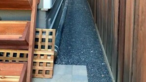 A narrow pathway between two buildings, one with a light-colored siding and the other with a blue siding. There are wooden steps leading up to a door on the blue building. - Cozy Tiny studio 20Min to DwTn SF & 7min to SFO (South San Francisco)