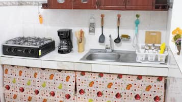 Family Apartment, Pets allowed | Private kitchen | Fridge, dishwasher, rice cooker, blender
