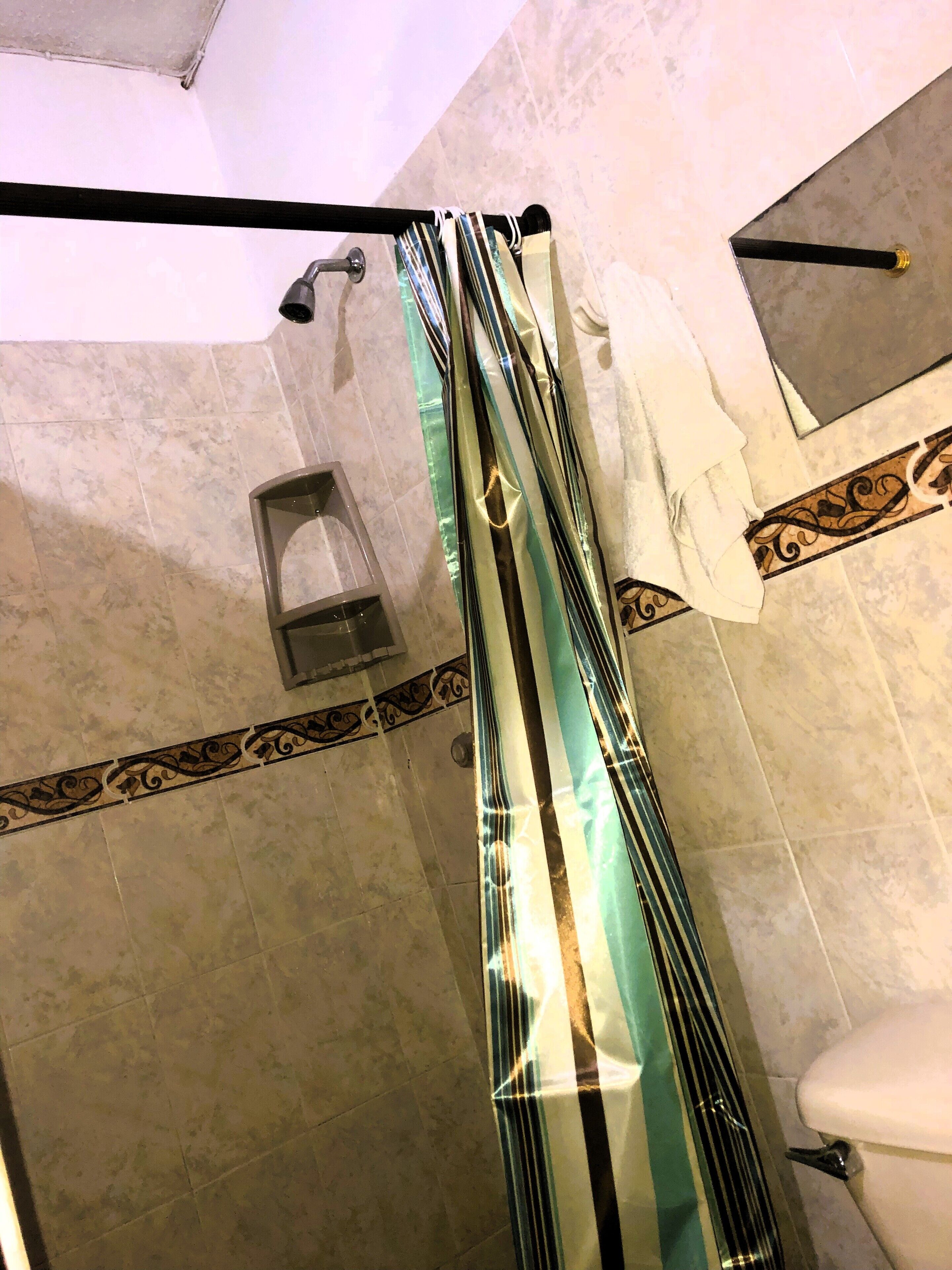 Executive Apartment, 1 Double Bed with Sofa bed, Kitchen, Ground Floor | Bathroom | Shower, free toiletries, towels, soap