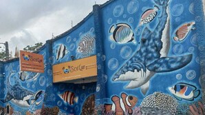 A building with a mural of marine life, including fish and a shark, and a sign that reads "Sol Kua". - Pousada Sol e Lua (Caraguatatuba)
