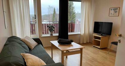 Schöne Ferienwohnung unweit von UmeÄ