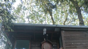 Un escalier en bois mène à une pièce dotée de fenêtres et ornée d’une rambarde en métal.