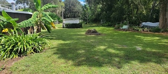 Vintage Chic King Bed Studio Apartment Near The Villages Pet Friendly 