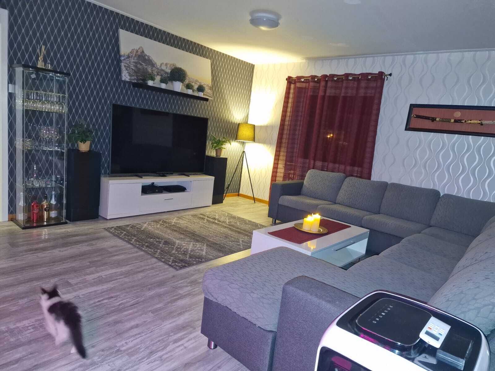 Smart-TV, Kamin, Videospiele, Bücher