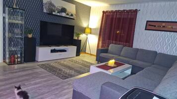 Een smart-tv, een open haard, videogames en boeken